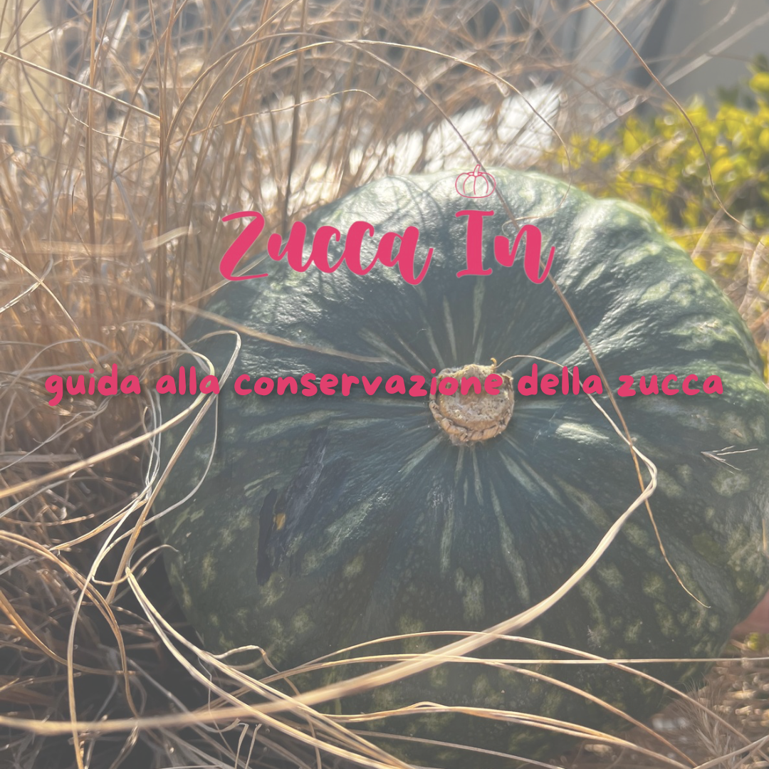 GUIDA ALLA CONSERVAZIONE DELLA ZUCCA