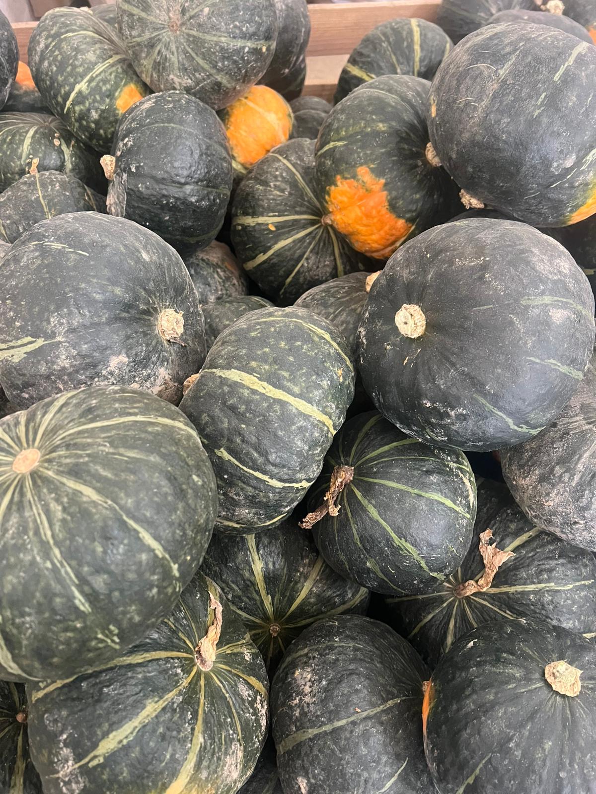 DULCIMAX VICENTINE 8kg♥️